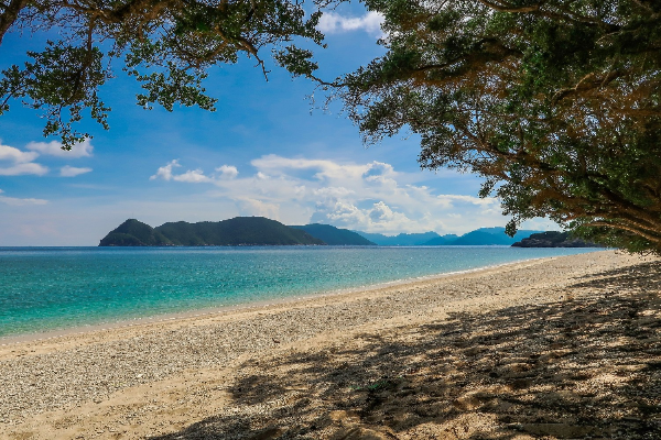 Discover Hon Cau Island, Con Dao Tour - photo 3